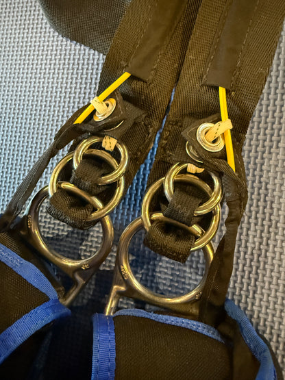 Apex DP/Ace 310