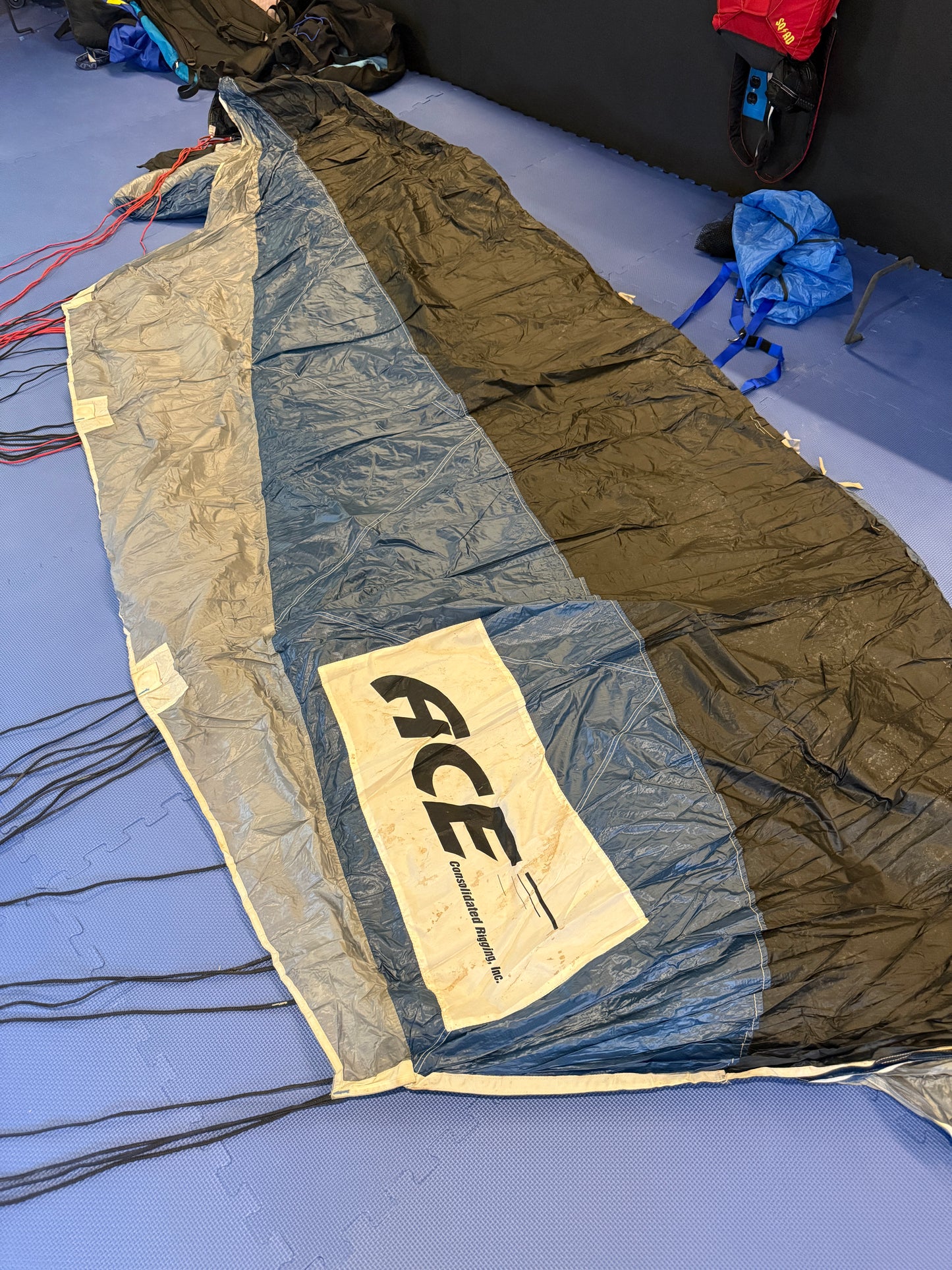 Apex DP/Ace 310